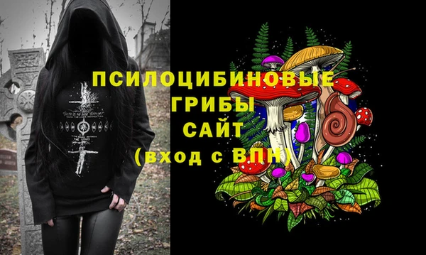 гидра Абинск